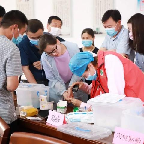 中医养生保健知识讲座，传统智慧与现代生活的完美融合