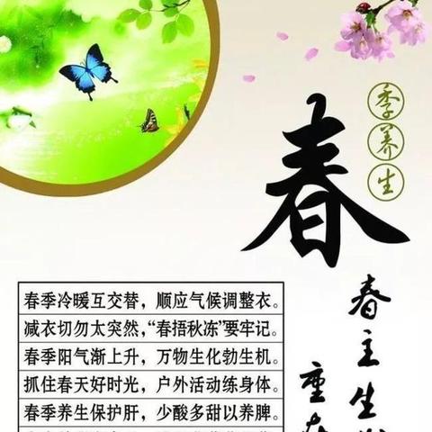 健康养生大课堂，免费获取中医养生智慧