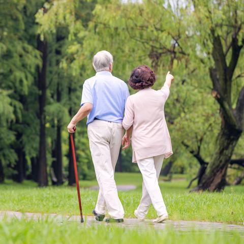 老年人养生健康知识活动总结与实践指南