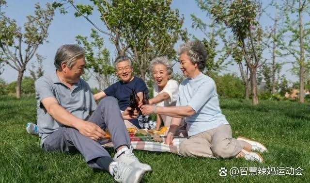 老年人日常养生指南，传统智慧与现代生活的和谐融合