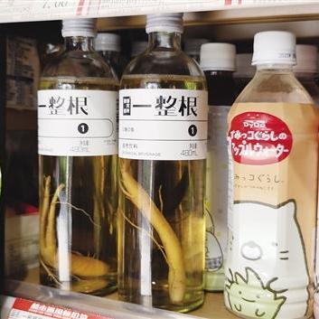 中医养生理疗知识大全，传统智慧与现代生活的完美融合