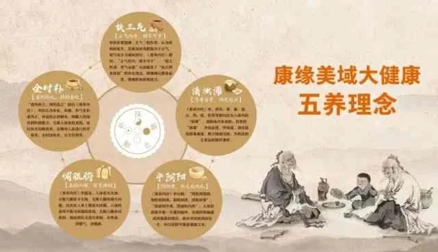 中医养生，探索传统智慧中的健康秘诀