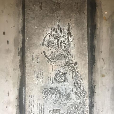 道家养生文化，自然和谐与长寿之道