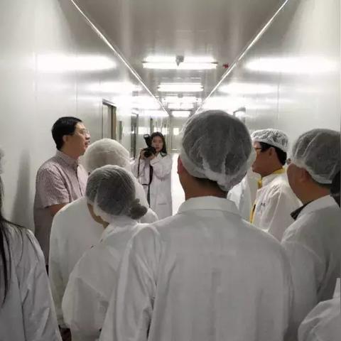 中医养生智慧，探索健康养生节目的精髓