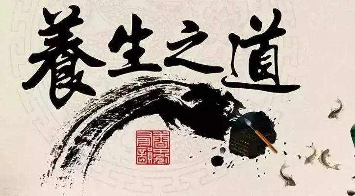 中医养生智慧，打造健康生活的秘诀