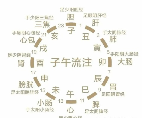 中医养生，探索最佳睡眠时间的智慧